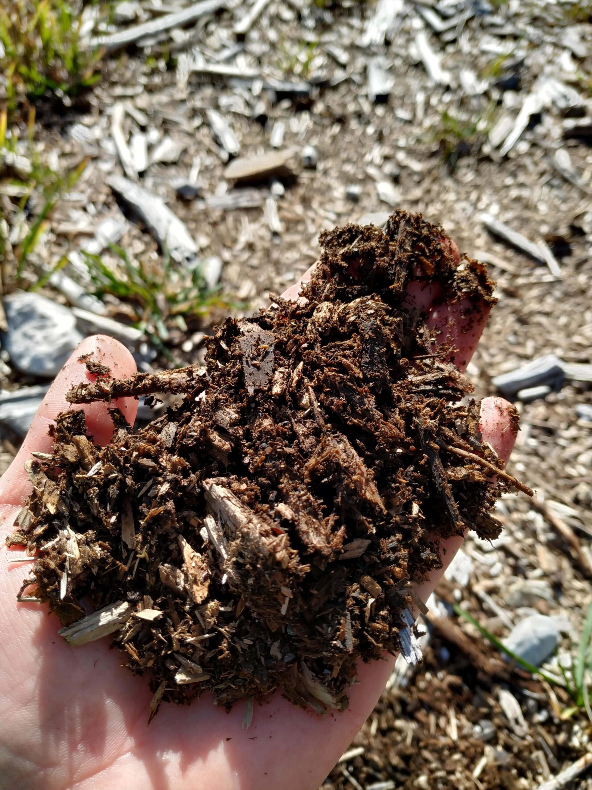 Welcome to the Alpine Soils Platform