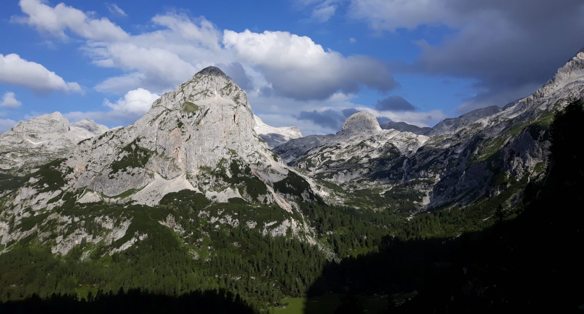 Welcome to the Alpine Soils Platform