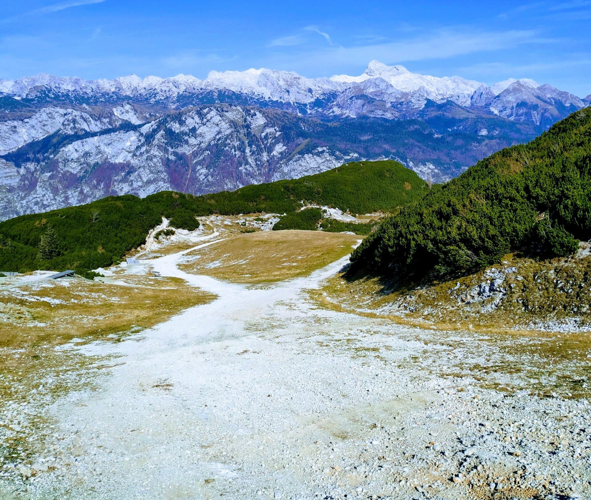 Welcome to the Alpine Soils Platform